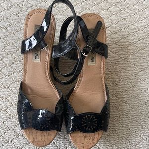 American eagle wedges